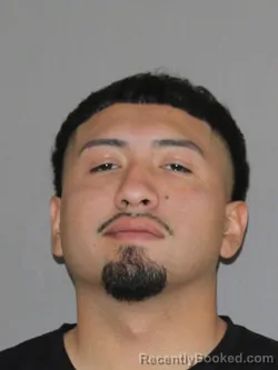 Mugshot of Asincion Fernandez