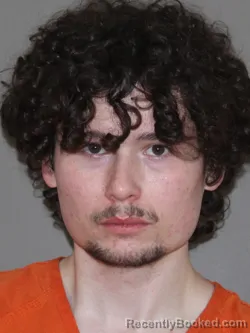 Mugshot of Alex S Ring