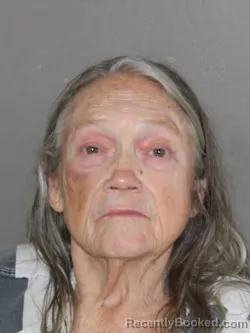 Mugshot of Sherry L Machens booked in Denton County, Texas on March 7, 2026