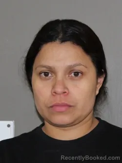 Mugshot of Ruth S Amaya booked in Denton County, Texas on March 14, 2026