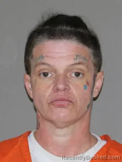 Mugshot of Misty A Hawk booked in Denton County, Texas on March 14, 2026