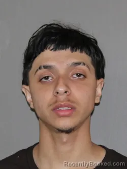 Mugshot of Jeremith S Velasquez-Gallo booked in Denton County, Texas on March 17, 2026