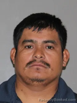 Mugshot of Elias Cho Chan booked in Denton County, Texas on March 21, 2026