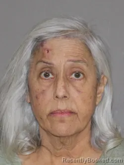 Mugshot of Elizabeth Nunn booked in Denton County, Texas on March 24, 2026