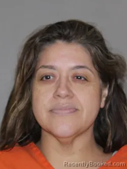 Mugshot of Karla Sanchez booked in Denton County, Texas on March 24, 2026