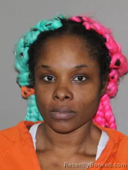 Mugshot of Christina J Falkner booked in Denton County, Texas on March 24, 2026