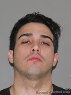 Mugshot of Henry J Suarez-Callejas booked in Denton County, Texas on March 24, 2026