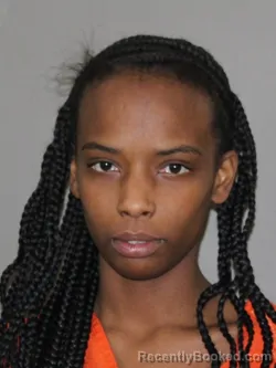 Mugshot of Genevieve S Deleon booked in Denton County, Texas on March 27, 2026