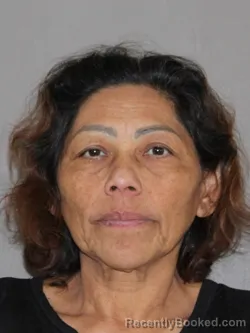 Mugshot of Mirna S Lopez booked in Denton County, Texas on March 28, 2026