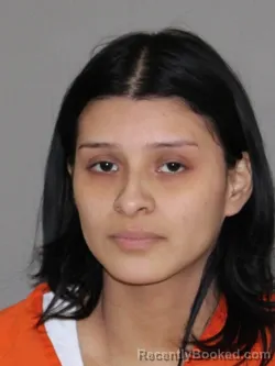 Mugshot of Debanhy Martinez Mendoza booked in Denton County, Texas on March 28, 2026