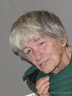 Mugshot of Pamela J Vidrine booked in Denton County, Texas on March 28, 2026