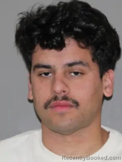 Mugshot of Guilherme Pinheiro Alves booked in Denton County, Texas on March 29, 2026