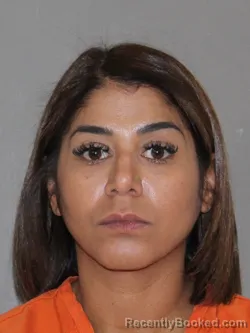 Mugshot of Aydil Lopez-Delgado booked in Denton County, Texas on March 29, 2026