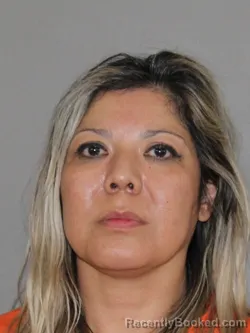 Mugshot of Ana Lara booked in Denton County, Texas on March 29, 2026