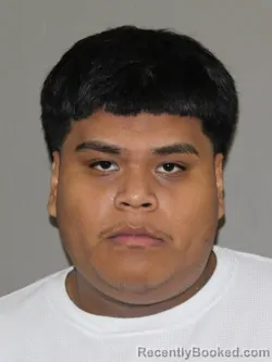 Mugshot of Josue Longines booked in Denton County, Texas on March 30, 2026