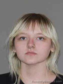 Mugshot of Marissa S Matus booked in Denton County, Texas on March 31, 2026