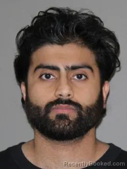 Mugshot of Ali Chaudhry booked in Denton County, Texas on March 31, 2026