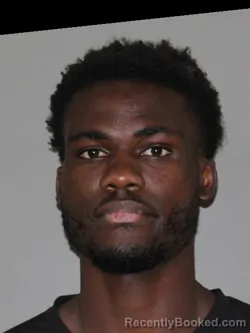 Mugshot of Valentine O Sakwe booked in Denton County, Texas on March 31, 2026