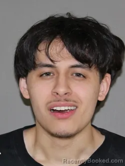 Mugshot of Ethanial G Fansler booked in Denton County, Texas on April 1, 2026