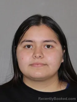 Mugshot of Luis Suarez Bustillos booked in Denton County, Texas on April 3, 2026