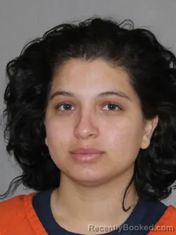 Mugshot of Wiljelis S Martinez-Ramirez booked in Denton County, Texas on April 3, 2026