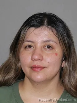 Mugshot of Teresa D Ramos Ramos booked in Denton County, Texas on April 4, 2026