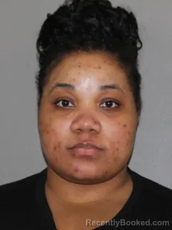 Mugshot of Sierra L Harper booked in Denton County, Texas on April 4, 2026