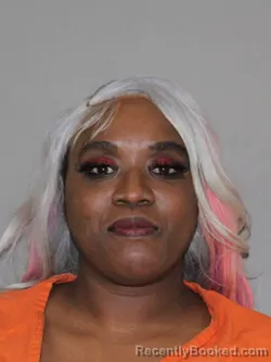 Mugshot of Corneeka Evans booked in Denton County, Texas on April 4, 2026