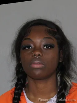 Mugshot of Zoey A Sistrunk booked in Denton County, Texas on April 5, 2026