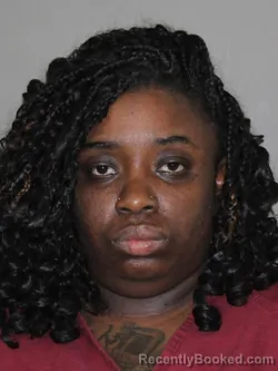 Mugshot of Ashanta M Dixon booked in Denton County, Texas on April 6, 2026