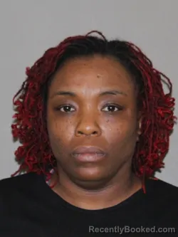 Mugshot of Altrovise Jenkins booked in Denton County, Texas on April 6, 2026