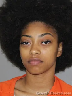 Mugshot of Jayia G Pogue booked in Denton County, Texas on April 8, 2026