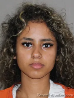 Mugshot of Christine Noronha booked in Denton County, Texas on April 8, 2026