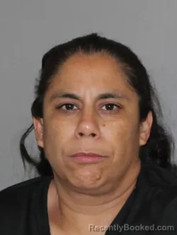 Mugshot of Anneka M Martinez booked in Denton County, Texas on April 8, 2026