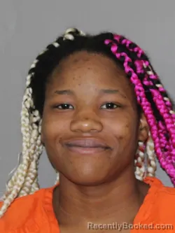 Mugshot of Tameka I Lloyd Sims booked in Denton County, Texas on April 9, 2026