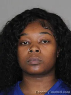 Mugshot of Breaunna S White booked in Denton County, Texas on April 9, 2026