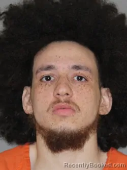 Mugshot of Charles D Fields booked in Denton County, Texas on April 9, 2026