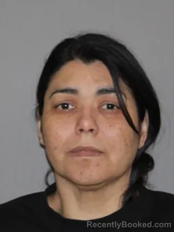 Mugshot of Natali D Tiapa Rondon booked in Denton County, Texas on April 10, 2026