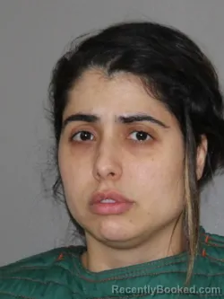 Mugshot of Erika C Saltiero booked in Denton County, Texas on April 10, 2026