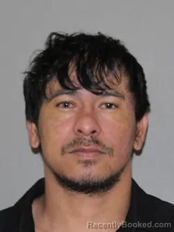 Booking photo from Denton County, Texas