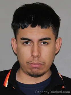 Mugshot of Irbi Hernandez Estrada booked in Denton County, Texas on May 20, 2026