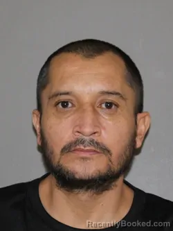 Mugshot of Martin C Rodriguez booked in Denton County, Texas on May 21, 2026