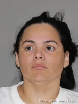 Mugshot of Johana G Villalobos Palmer booked in Denton County, Texas on May 24, 2026