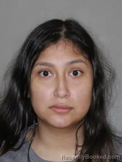 Mugshot of Alexis Castilleja booked in Denton County, Texas on May 29, 2026