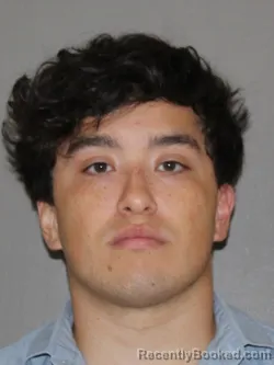 Mugshot of Sergio A Bravo booked in Denton County, Texas on May 31, 2026