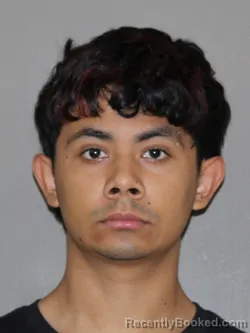 Mugshot of RODRIGO TOVAR booked in Denton County, Texas on June 4, 2026