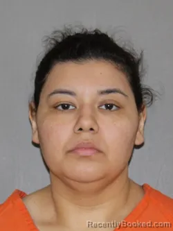 Mugshot of Yesli M Blanco-Rios booked in Denton County, Texas on June 9, 2026