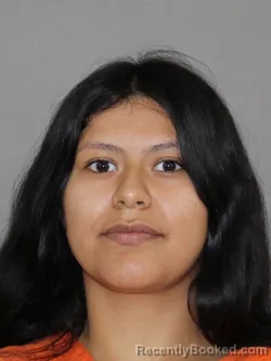Mugshot of Samantha M Pineda booked in Denton County, Texas on June 10, 2026