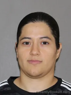 Mugshot of Norma R Velasquez booked in Denton County, Texas on June 11, 2026