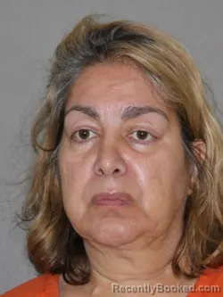 Mugshot of Sheyda Mehraban Gordon booked in Denton County, Texas on June 13, 2026